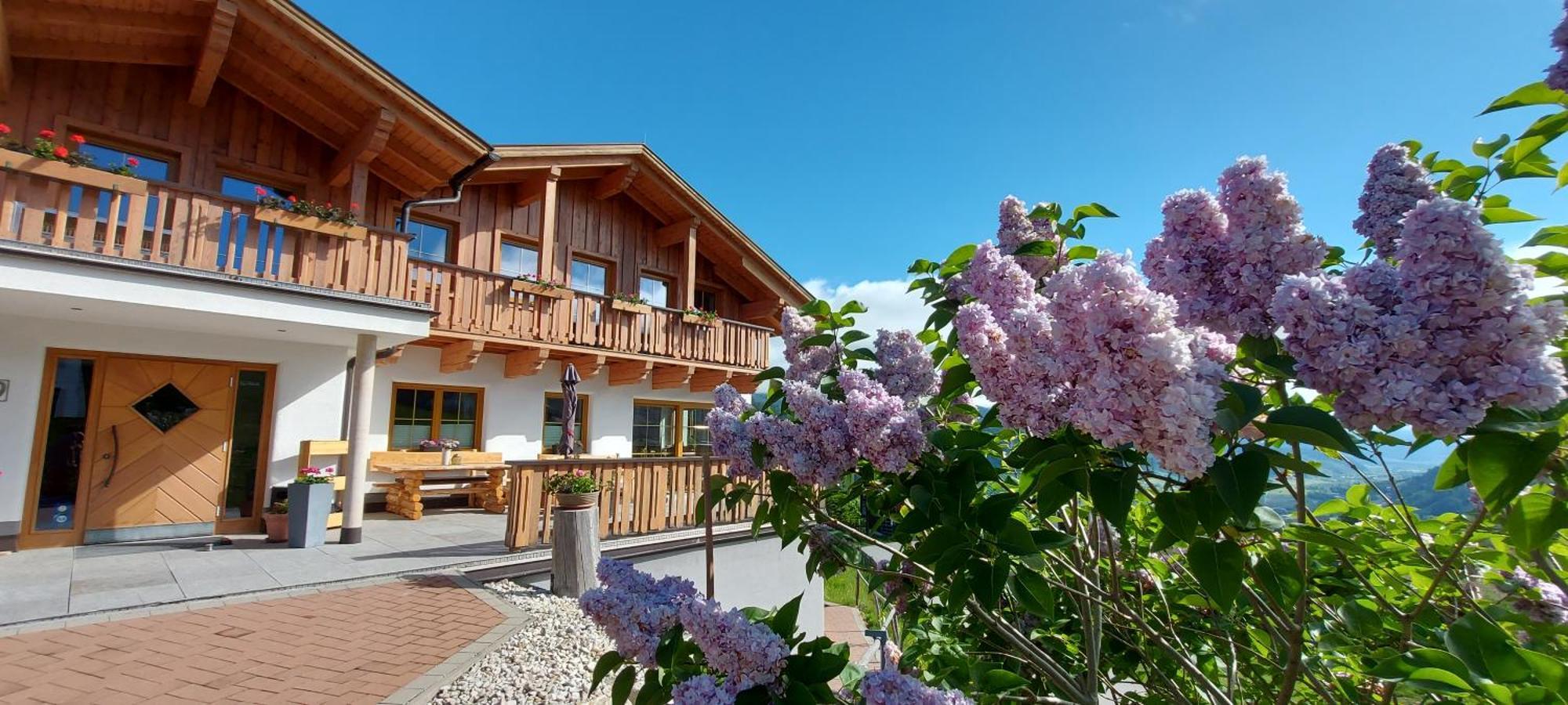 La Montana - Ski & Hiking Lodge Schladming Buitenkant foto